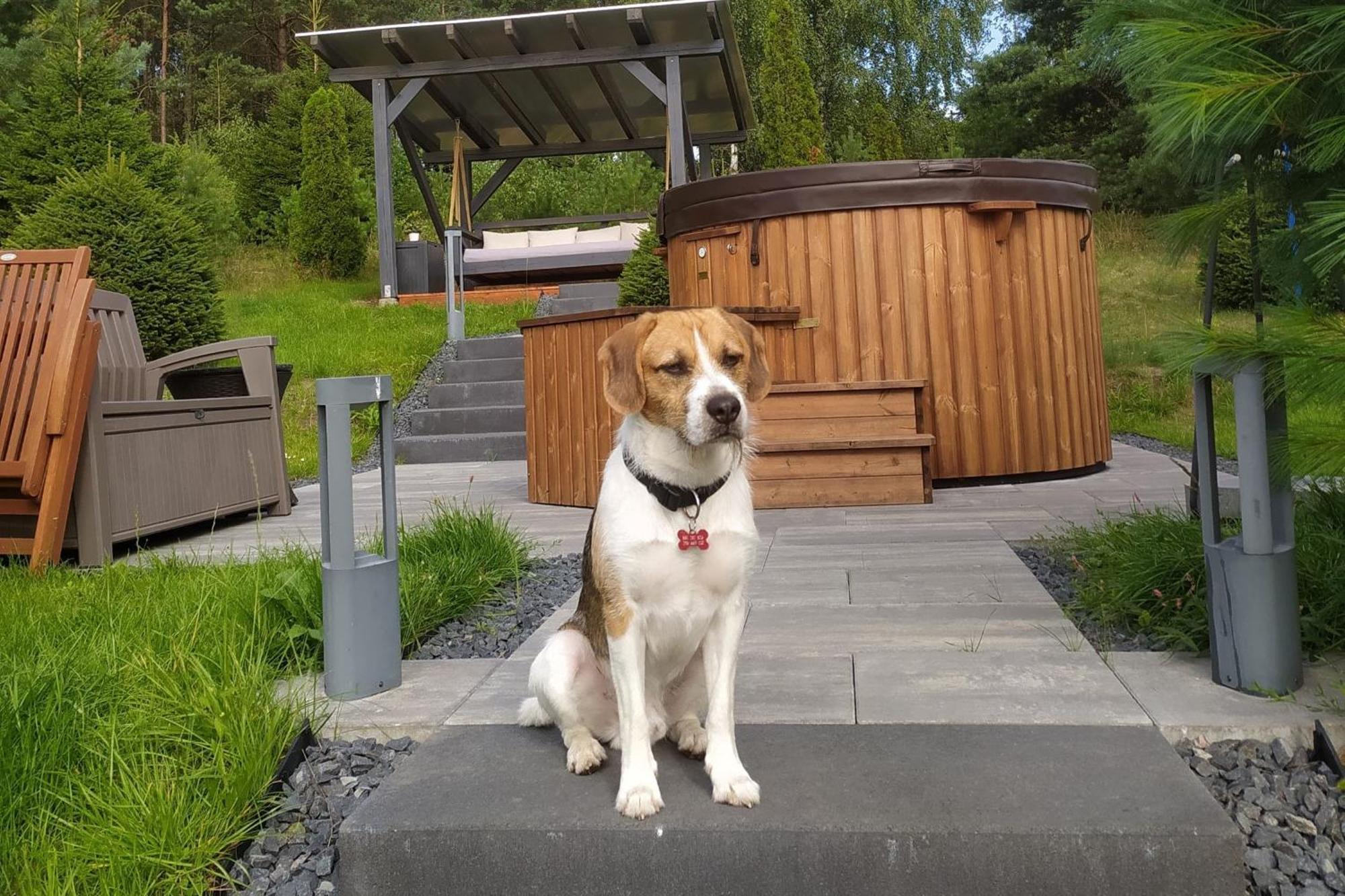 Dom Na Wzgorzu Z Widokiem Na Jezioro Z Balia I Sauna Lipnica  Esterno foto
